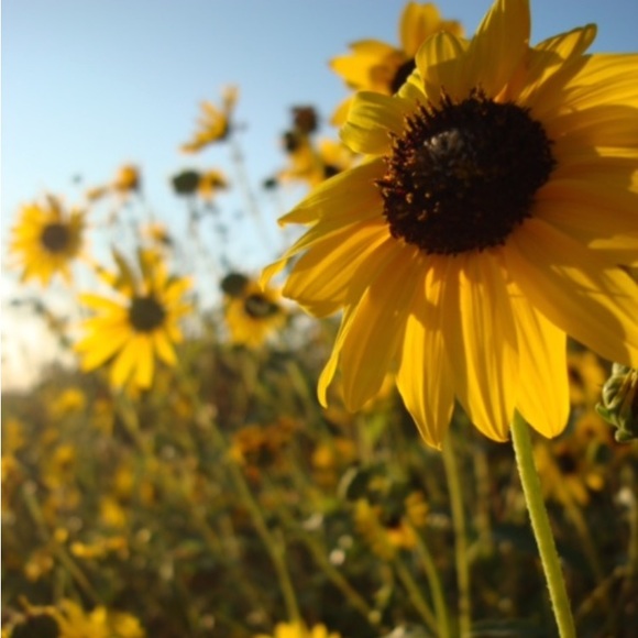 Meet your Posher, G - Picture 1 of 1